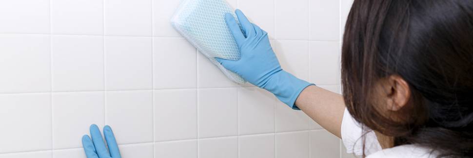 既に発生しているカビはどうすればよい?