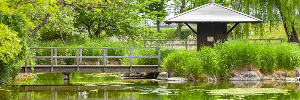湧き水の名所は全国各地にある