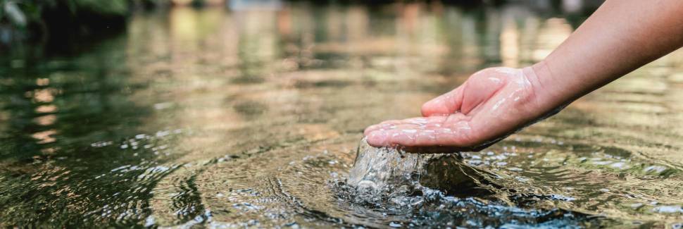 湖にお出かけの際は「透明度」もチェックしてみよう